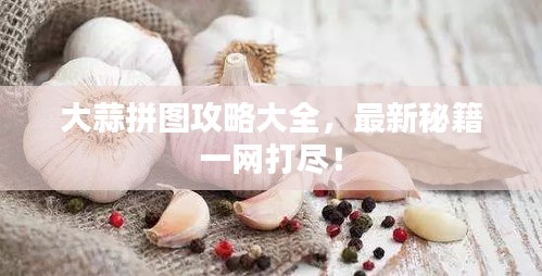 大蒜拼圖攻略大全，最新秘籍一網(wǎng)打盡！
