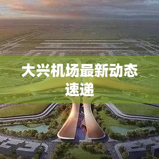 大興機(jī)場(chǎng)最新動(dòng)態(tài)速遞