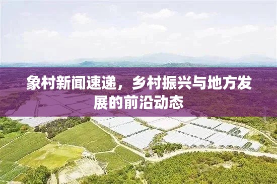 象村新聞速遞，鄉(xiāng)村振興與地方發(fā)展的前沿動(dòng)態(tài)