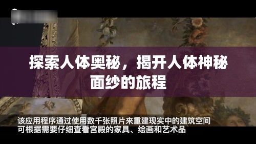 探索人體奧秘，揭開人體神秘面紗的旅程