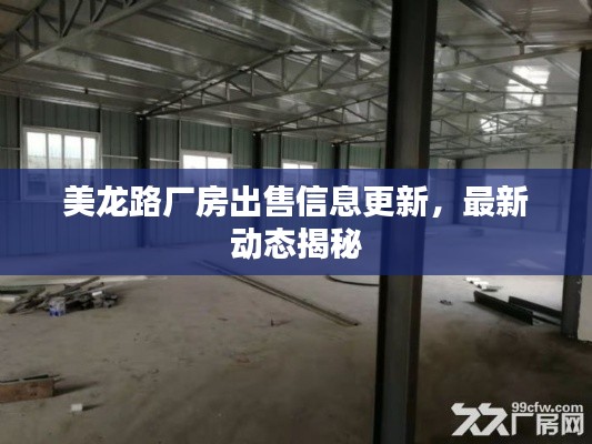 美龍路廠房出售信息更新，最新動(dòng)態(tài)揭秘