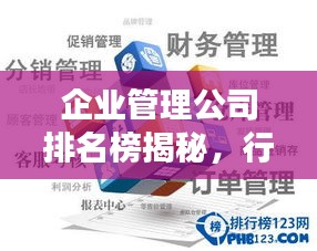 企業(yè)管理公司排名榜揭秘，行業(yè)領(lǐng)軍者的成功奧秘探索