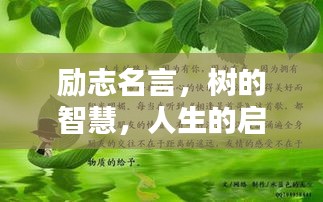 勵(lì)志名言，樹的智慧，人生的啟示