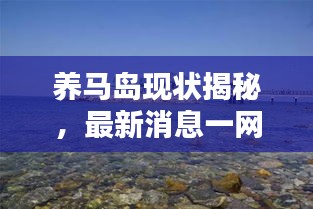 養(yǎng)馬島現狀揭秘，最新消息一網打盡
