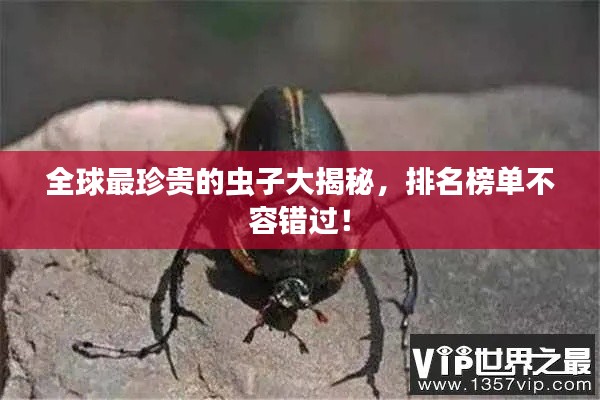 全球最珍貴的蟲子大揭秘，排名榜單不容錯過！