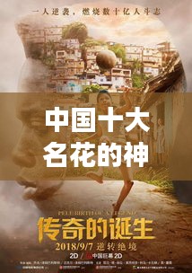 中國十大名花的神秘傳說，傳奇故事大揭秘！