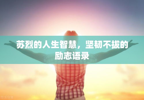 蘇烈的人生智慧，堅韌不拔的勵志語錄