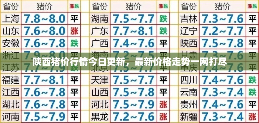 陜西豬價(jià)行情今日更新，最新價(jià)格走勢一網(wǎng)打盡