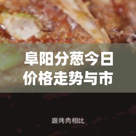 2025年4月 第141頁