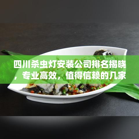 四川殺蟲燈安裝公司排名揭曉，專業(yè)高效，值得信賴的幾家企業(yè)