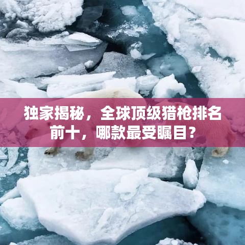 獨家揭秘，全球頂級獵槍排名前十，哪款最受矚目？