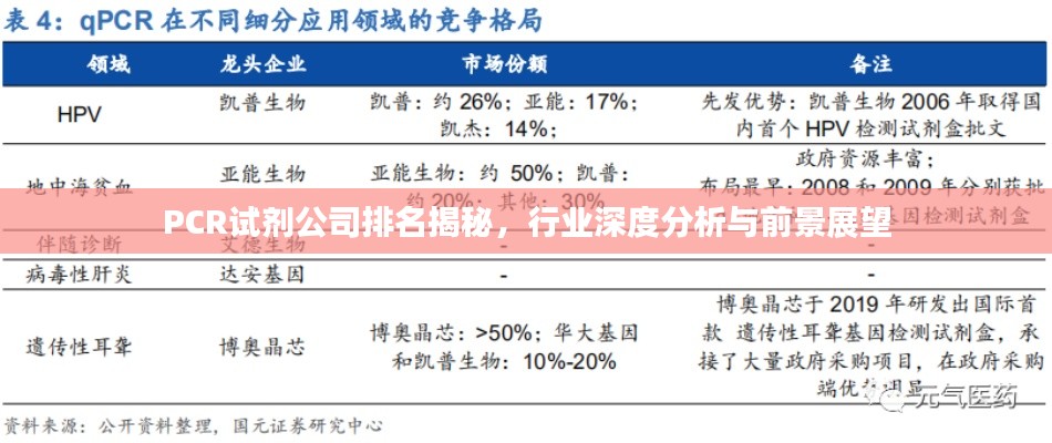 PCR試劑公司排名揭秘，行業(yè)深度分析與前景展望