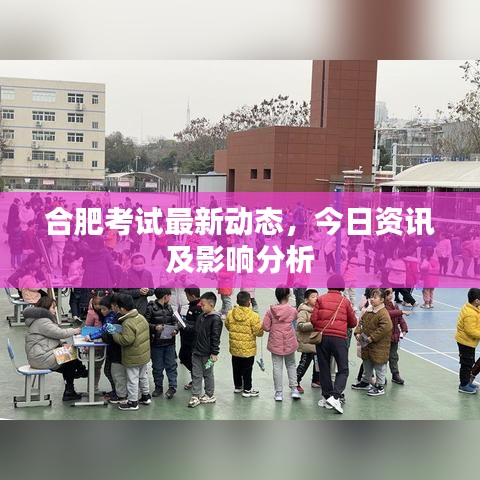合肥考試最新動態(tài)，今日資訊及影響分析