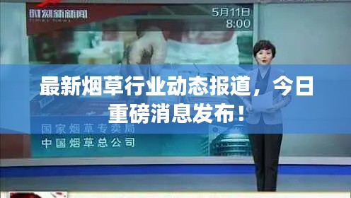 侃侃而談