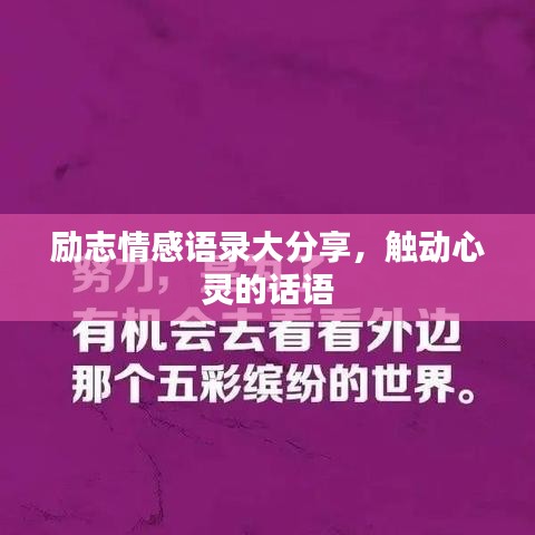 勵(lì)志情感語錄大分享，觸動(dòng)心靈的話語