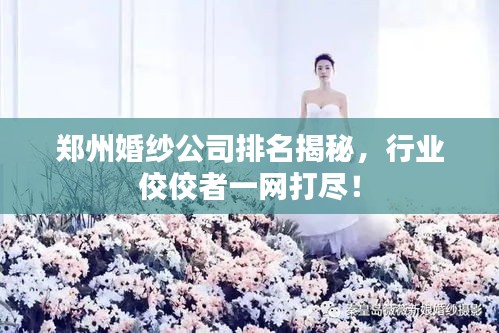 鄭州婚紗公司排名揭秘，行業(yè)佼佼者一網(wǎng)打盡！