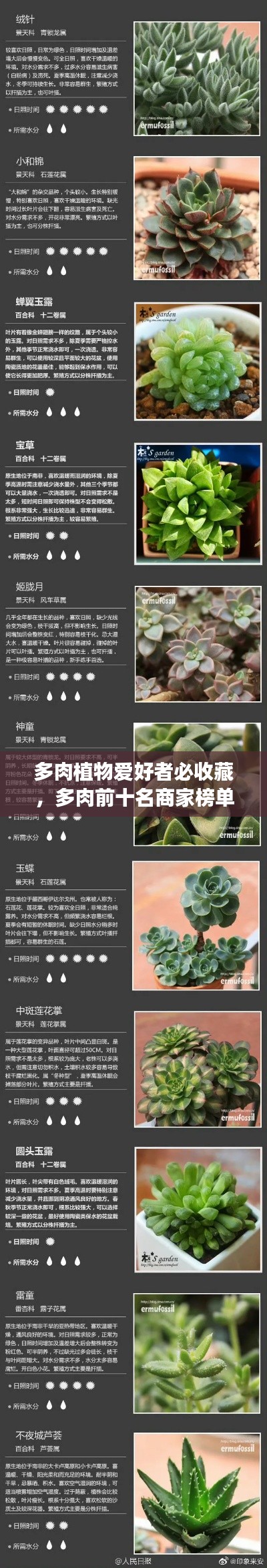 多肉植物愛好者必收藏，多肉前十名商家榜單揭秘！