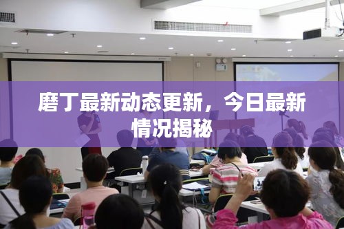 磨丁最新動態(tài)更新，今日最新情況揭秘
