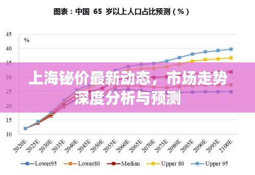 上海鉍價(jià)最新動(dòng)態(tài)，市場走勢深度分析與預(yù)測