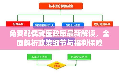 免費配偶就醫(yī)政策最新解讀，全面解析政策細節(jié)與福利保障