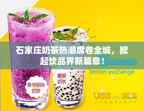 石家莊奶茶熱潮席卷全城，掀起飲品界新篇章！
