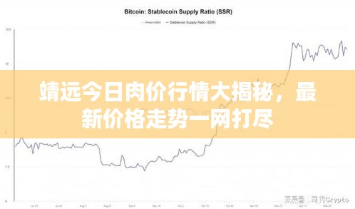 靖遠今日肉價行情大揭秘，最新價格走勢一網(wǎng)打盡