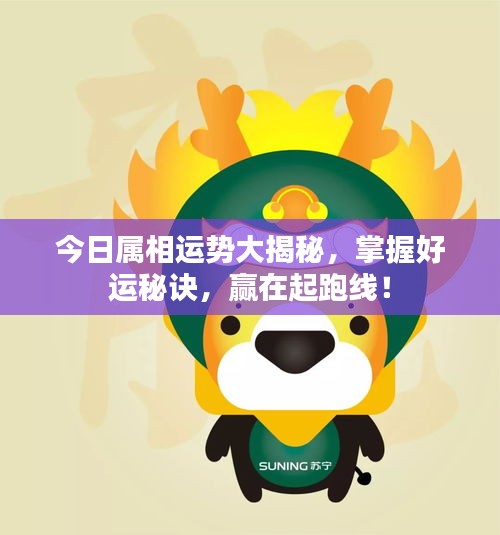 今日屬相運勢大揭秘，掌握好運秘訣，贏在起跑線！