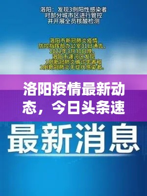 洛陽疫情最新動態(tài)，今日頭條速覽