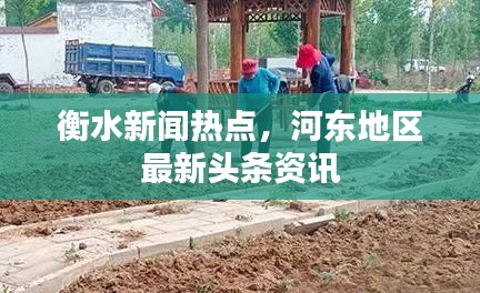 衡水新聞熱點，河東地區(qū)最新頭條資訊