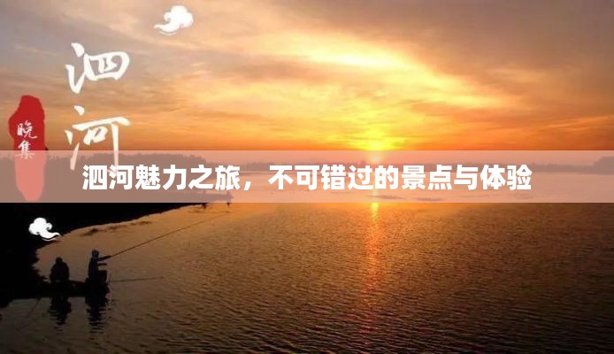 泗河魅力之旅，不可錯過的景點與體驗
