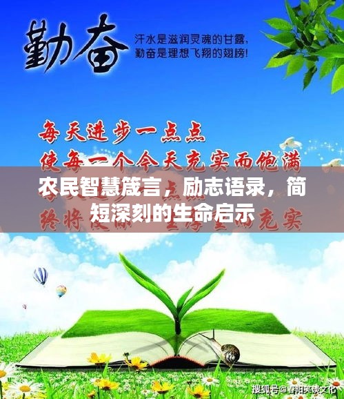 農(nóng)民智慧箴言，勵(lì)志語(yǔ)錄，簡(jiǎn)短深刻的生命啟示