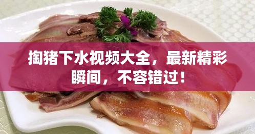 掏豬下水視頻大全，最新精彩瞬間，不容錯(cuò)過(guò)！