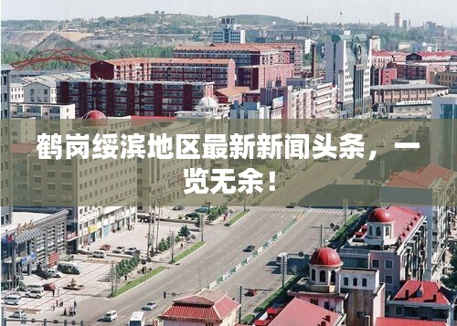 鶴崗綏濱地區(qū)最新新聞頭條，一覽無余！