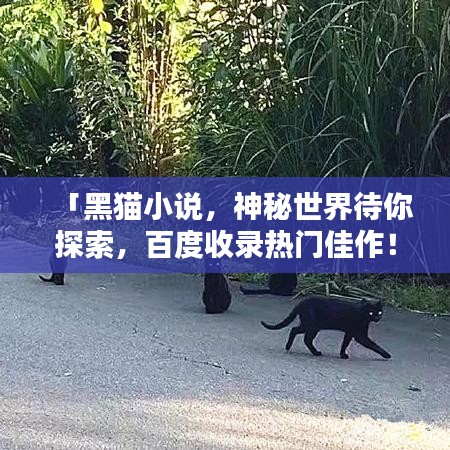 「黑貓小說(shuō)，神秘世界待你探索，百度收錄熱門佳作！」