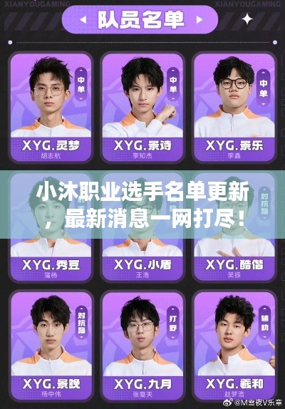 小沐職業(yè)選手名單更新，最新消息一網(wǎng)打盡！