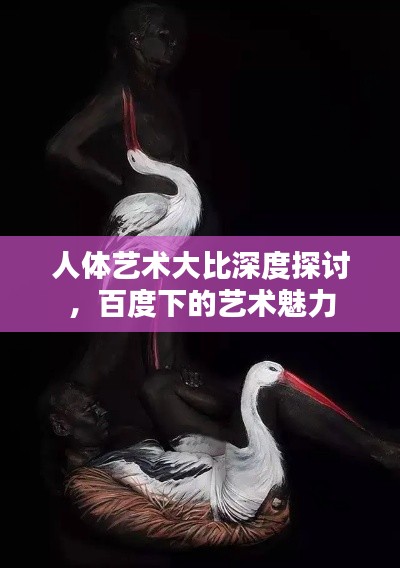 人體藝術(shù)大比深度探討，百度下的藝術(shù)魅力