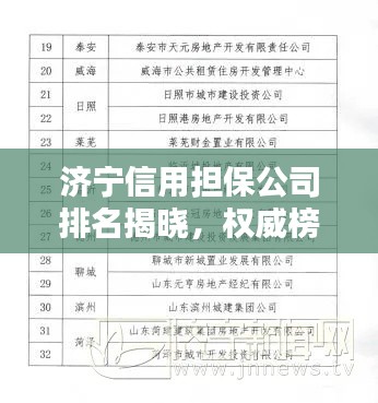 濟(jì)寧信用擔(dān)保公司排名揭曉，權(quán)威榜單助你快速了解行業(yè)佼佼者
