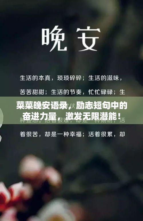 菜菜晚安語錄，勵(lì)志短句中的奮進(jìn)力量，激發(fā)無限潛能！