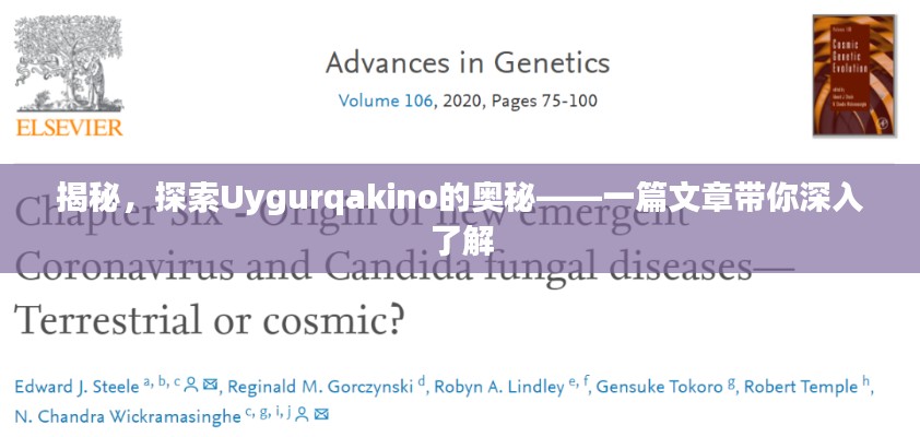 揭秘，探索Uygurqakino的奧秘——一篇文章帶你深入了解