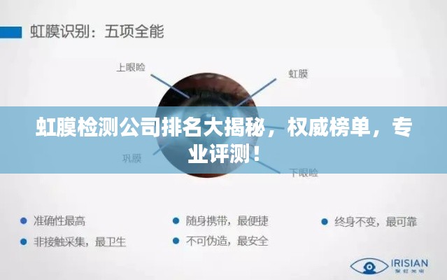 虹膜檢測公司排名大揭秘，權(quán)威榜單，專業(yè)評測！