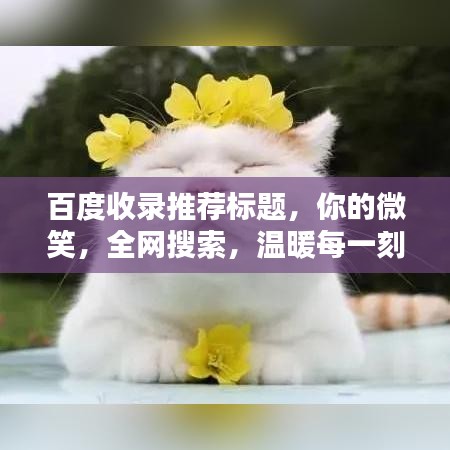 百度收錄推薦標(biāo)題，你的微笑，全網(wǎng)搜索，溫暖每一刻！