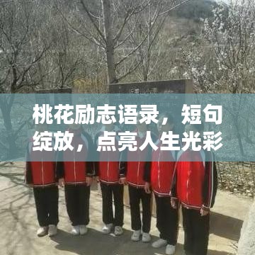 桃花勵志語錄，短句綻放，點亮人生光彩
