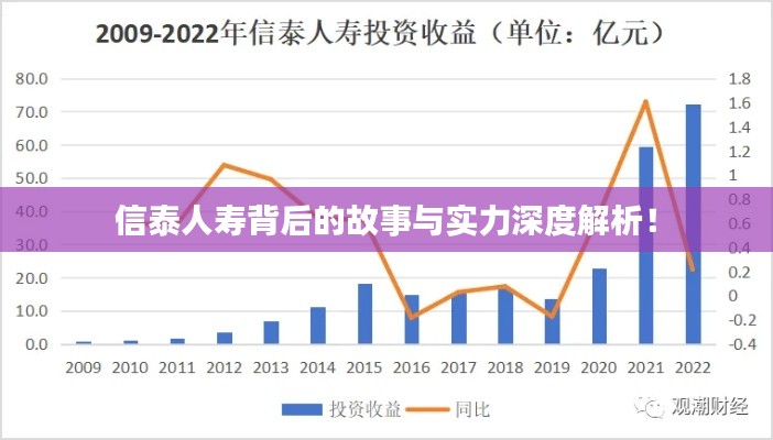 信泰人壽背后的故事與實(shí)力深度解析！