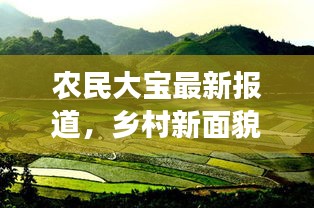 農(nóng)民大寶最新報(bào)道，鄉(xiāng)村新面貌與發(fā)展動(dòng)力揭秘