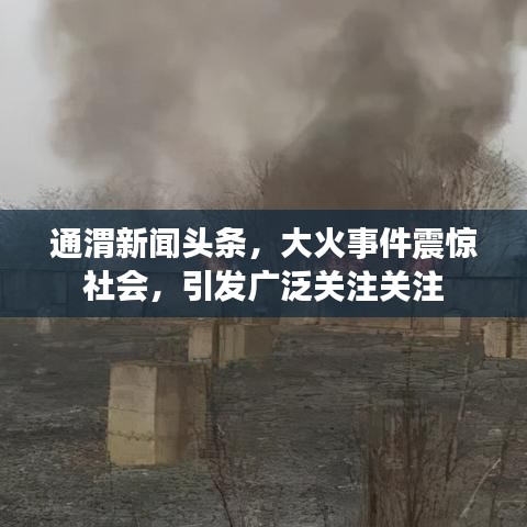通渭新聞頭條，大火事件震驚社會，引發(fā)廣泛關注關注