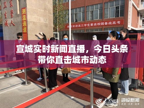 宣城實(shí)時新聞直播，今日頭條帶你直擊城市動態(tài)