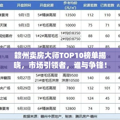 贛州賣房大師TOP10榜單揭曉，市場(chǎng)引領(lǐng)者，誰與爭(zhēng)鋒！
