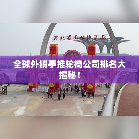 全球外銷手推輪椅公司排名大揭秘！