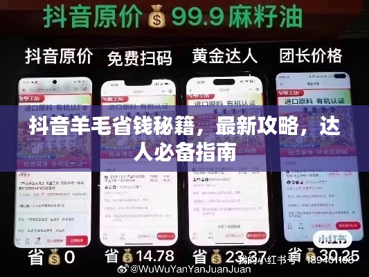 抖音羊毛省錢(qián)秘籍，最新攻略，達(dá)人必備指南