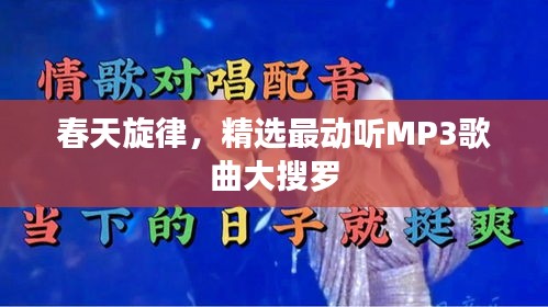 春天旋律，精選最動(dòng)聽MP3歌曲大搜羅